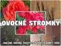 Ovocné stromky Polsko-Výrobce-Velkoobchod ja